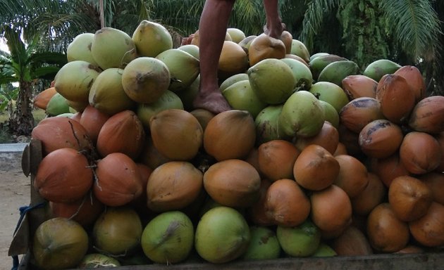 Toko buah dan sayuran di dekat saya di Lampung - Nicelocal.id